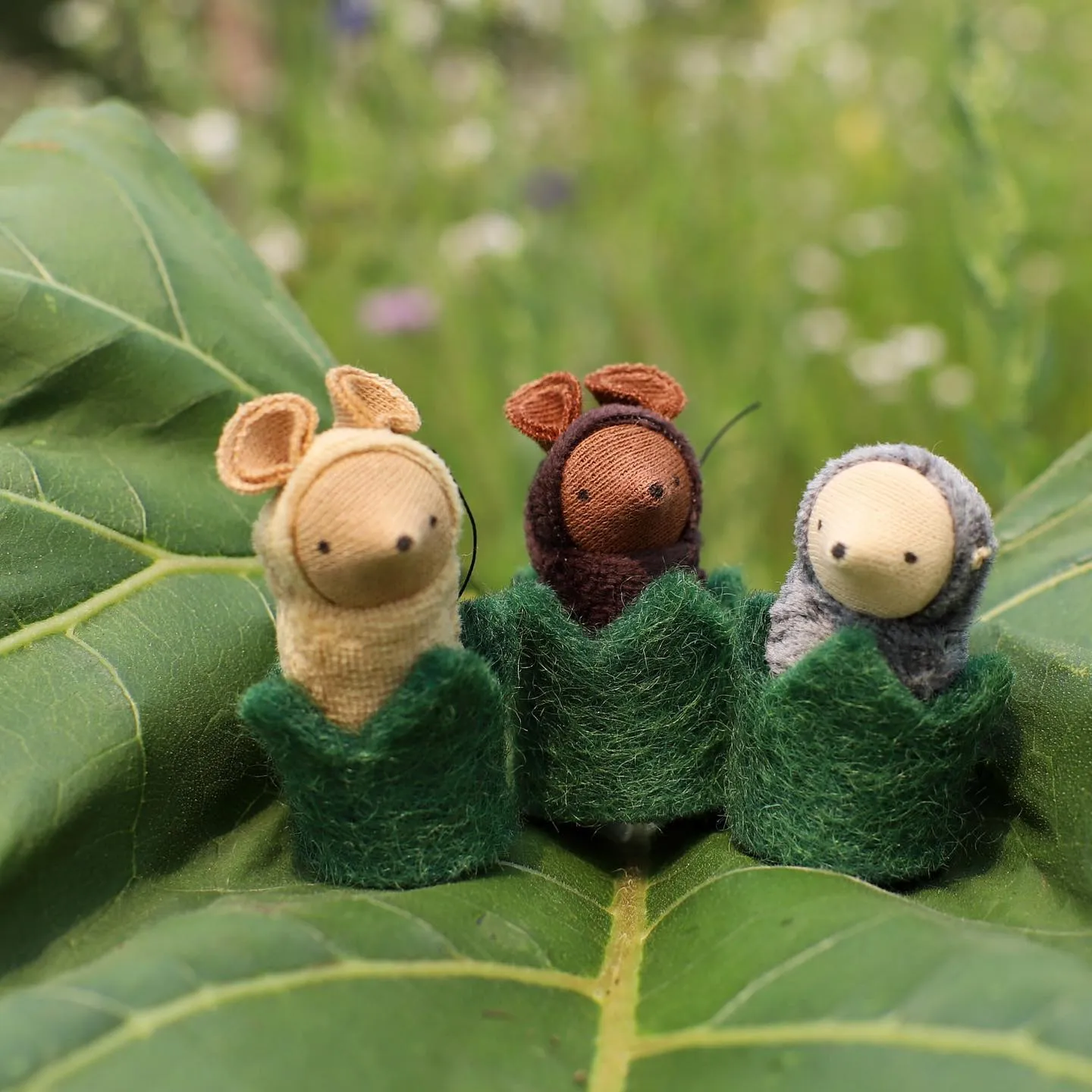 Fairyshadow Little Critter in a Hedge Cozy, Gray Mole