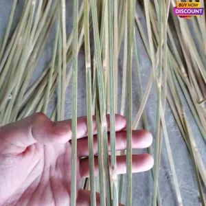 Rare and Comprehensive Size length:195cm/77" Skinned Bamboo Strips/Flats for Bamboo Weaving&handicraft making