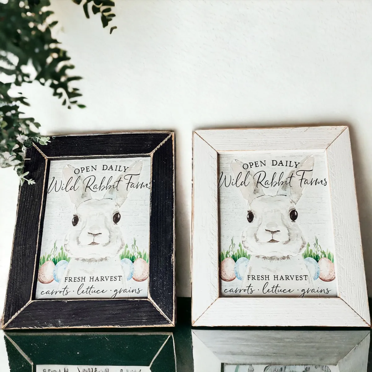 Wild Rabbit Farms
