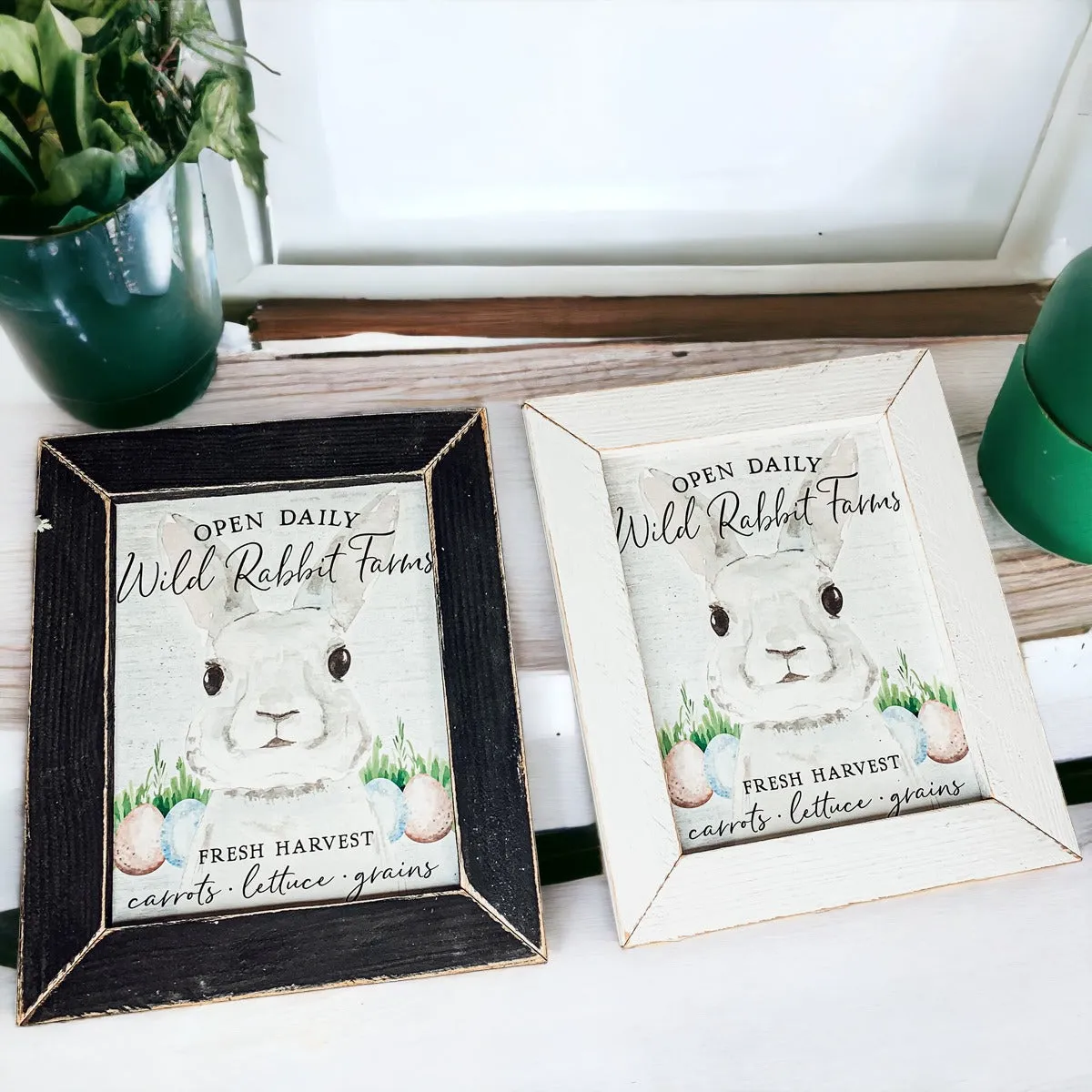 Wild Rabbit Farms